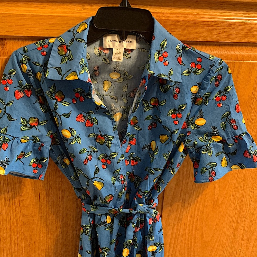 Donna Morgan Fruit Dress size 4 EUC ruffles cherries 50s midi farmers market